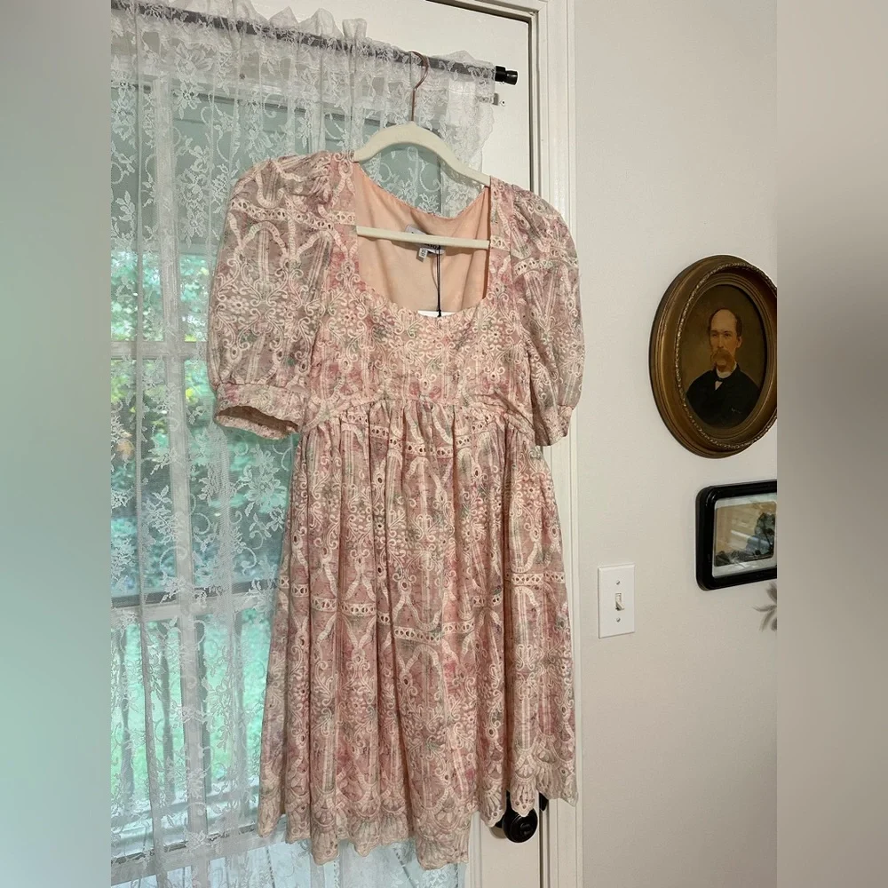 NWT En Saison Kiera Eyelet-Embroidered Mini Dress XS - Picture 5 of 7